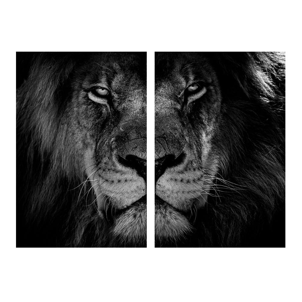 African Wild Lion Head Modular Picture - My Store
