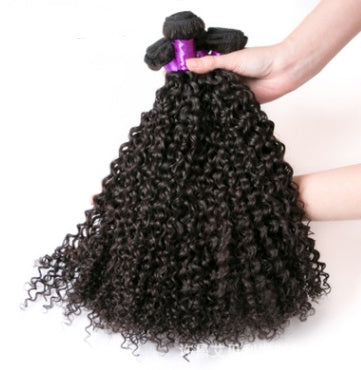 Brazilian Virgin Human Hair Kinky Curly Brazil Real Wig Hair Curtain - My Store