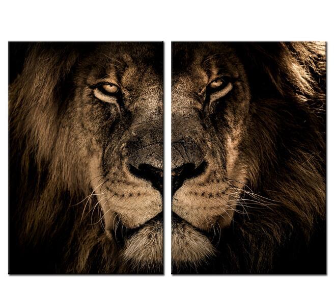 African Wild Lion Head Modular Picture - My Store